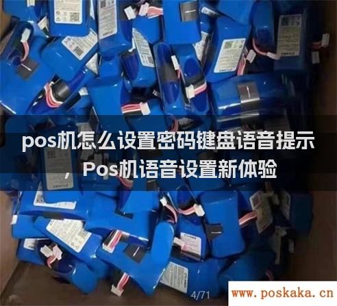 pos机怎么设置密码键盘语音提示，Pos机语音设置新体验