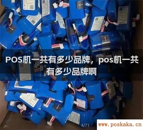 POS机一共有多少品牌，pos机一共有多少品牌啊