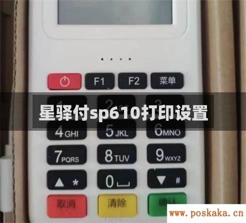 星驿付sp610打印设置