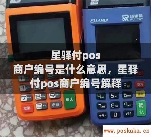 星驿付pos 商户编号是什么意思，星驿付pos商户编号解释