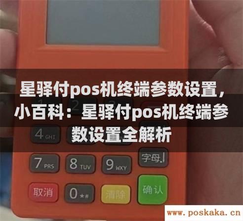 星驿付pos机终端参数设置，小百科：星驿付pos机终端参数设置全解析