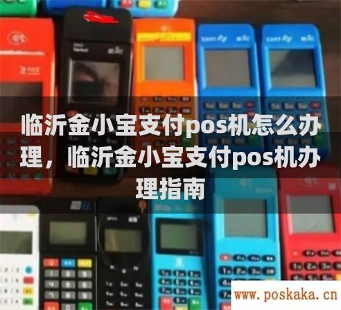 临沂金小宝支付pos机怎么办理，临沂金小宝支付pos机办理指南