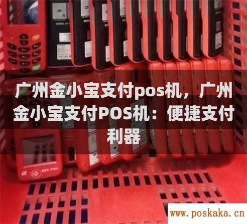 广州金小宝支付pos机，广州金小宝支付pos机：便捷支付利器