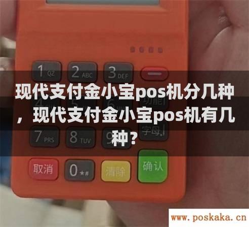 现代支付金小宝pos机分几种，现代支付金小宝pos机有几种？