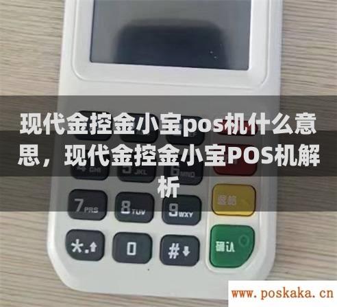 现代金控金小宝pos机什么意思，现代金控金小宝pos机解析